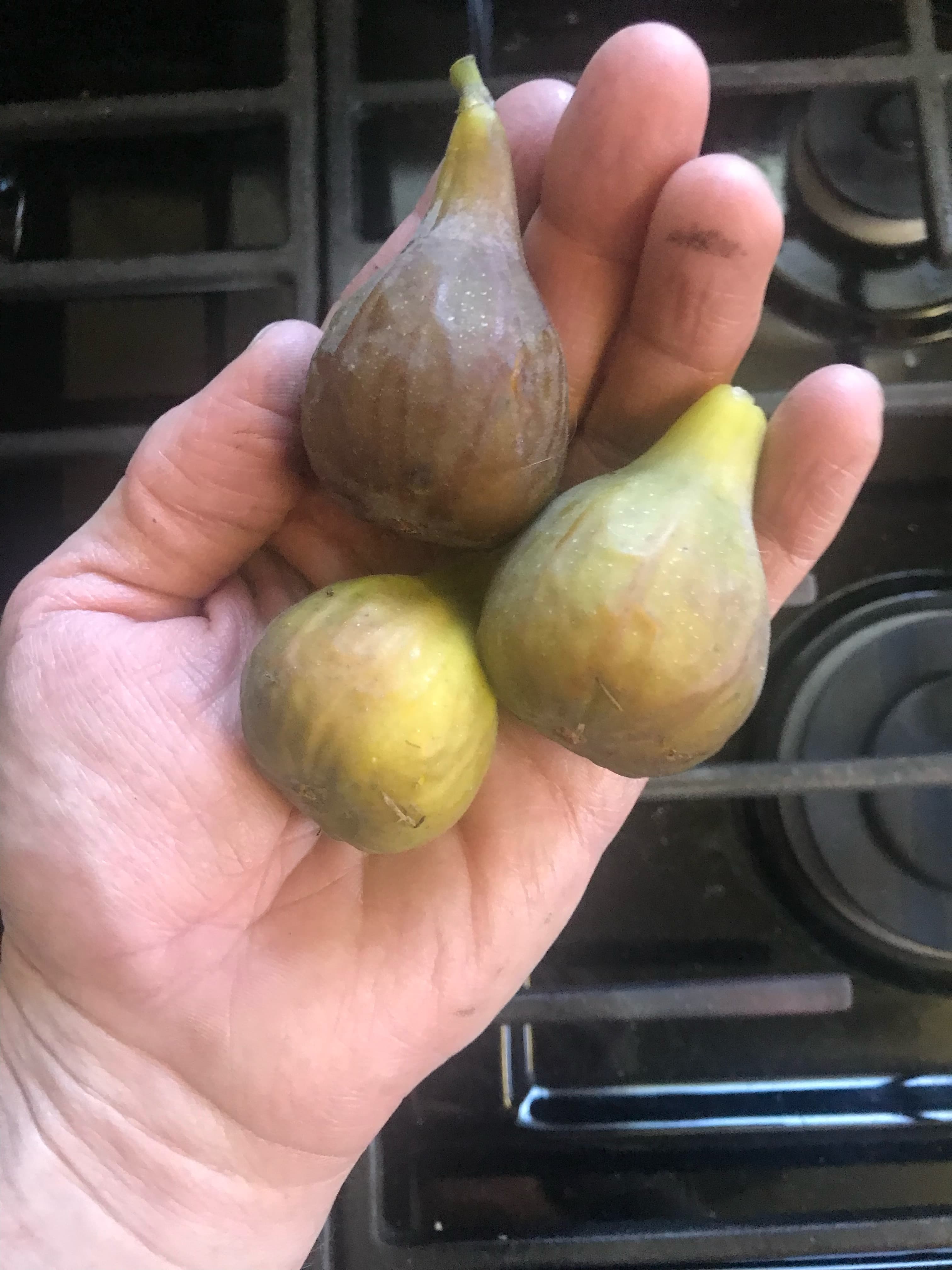 Residents and leaders together on the property